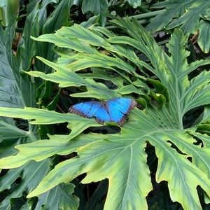 Meet your Posher, Ellen